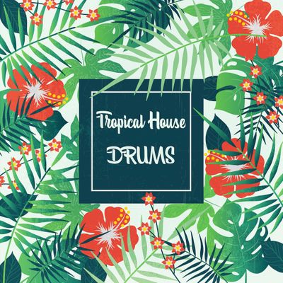Download Sample pack Tropical House Drums