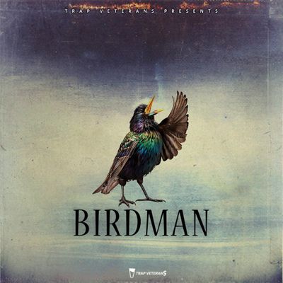 Download Sample pack Birdman (Sample Pack)