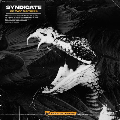 Download Sample pack Syndicate