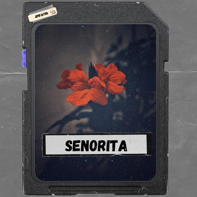 Download Sample pack Senorita
