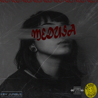 Download Sample pack Medusa- Modern RnB Samples