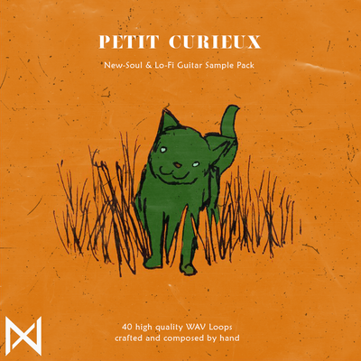 Download Sample pack Petit Curieux - New-Soul & Lo-Fi Guitar Sample Pack