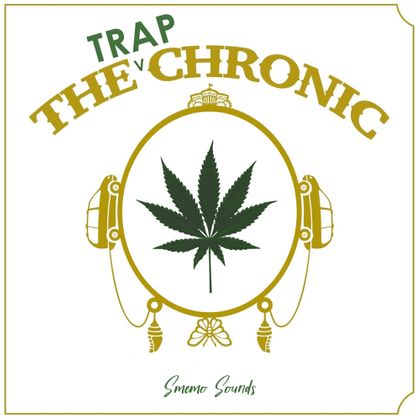 Dr. Dre TRAP Beats (WAV/MIDI) - r-loops