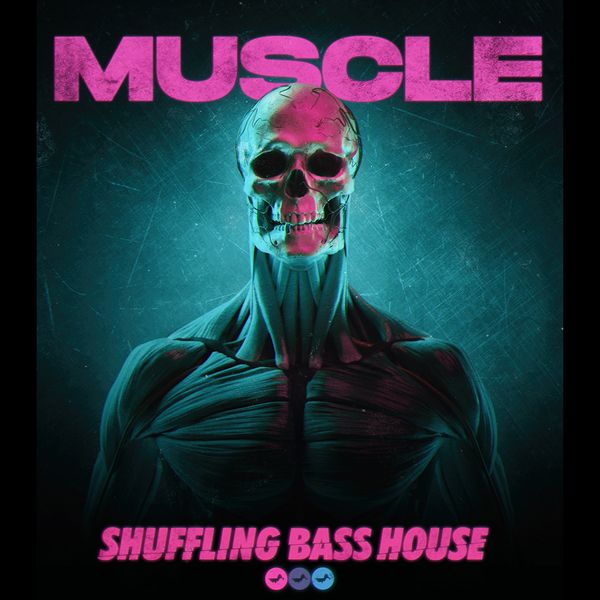 Download Sample pack Muscle: Shuffling Bass House