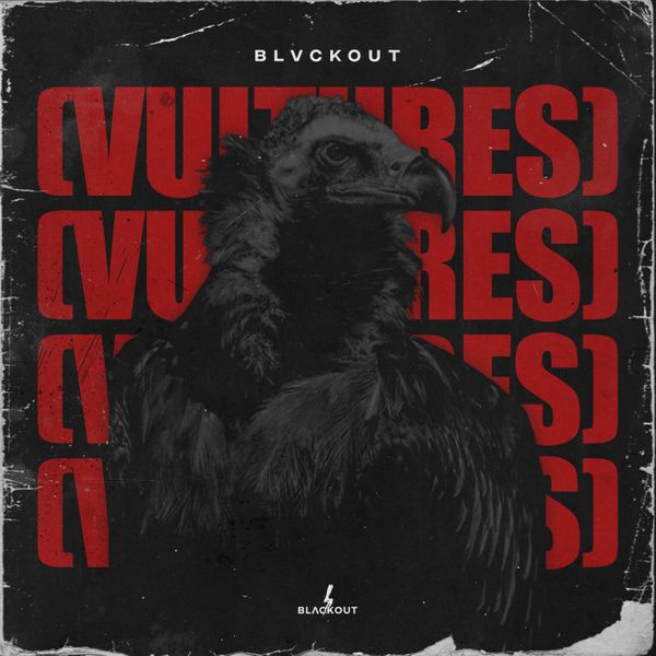 Download Sample pack Vultures