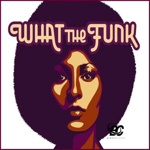 What The Funk - WAV Funk Samples - r-loops