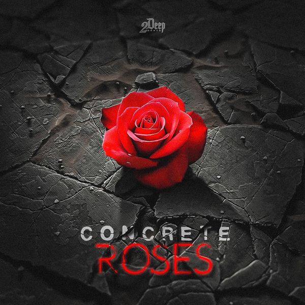 2Deep Concrete Roses RoyaltyFree Samples
