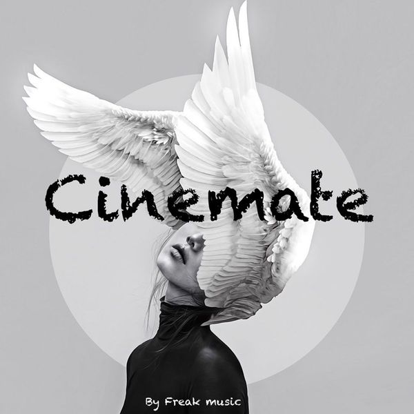 Download Sample pack Cinemate