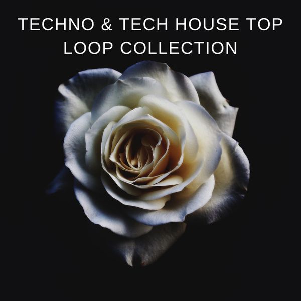 Download Sample pack Techno & Tech House Top Loop Collection