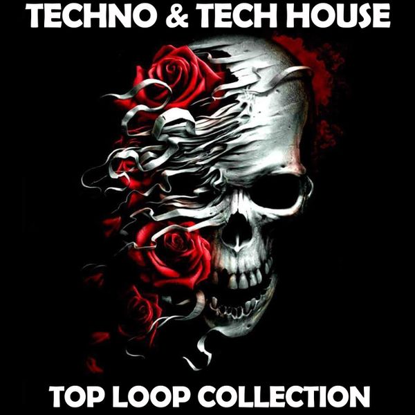 Download Sample pack Techno & Tech House Top Loop Collection by Skull Label