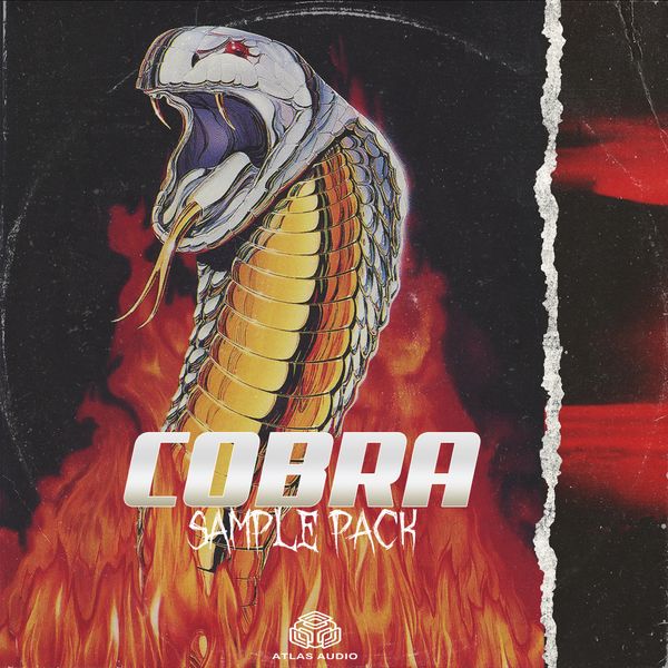 Download Sample pack Cobra (Loops Kit)