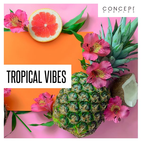 Download Sample pack Tropical Vibes
