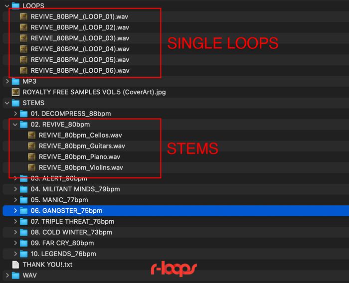 What is a loop kit? See stem kit content